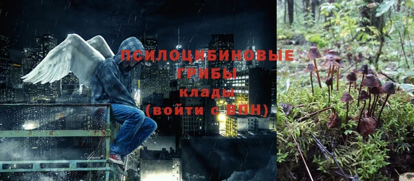МДПВ Щигры