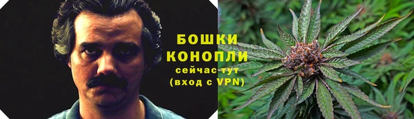 ГАЛЛЮЦИНОГЕННЫЕ ГРИБЫ Горно-Алтайск