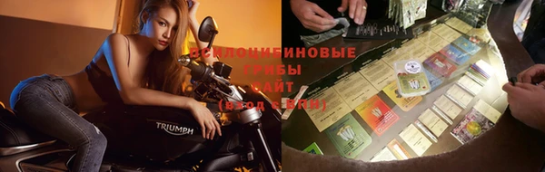 спайс Горняк