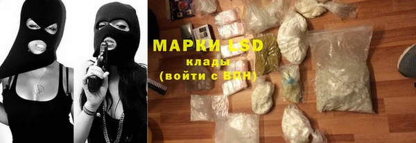 ГАЛЛЮЦИНОГЕННЫЕ ГРИБЫ Горно-Алтайск