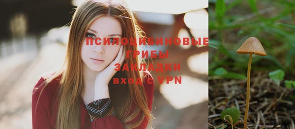 спайс Горняк