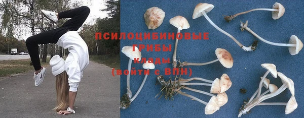 таблы Горнозаводск