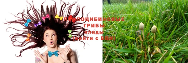 спайс Горняк
